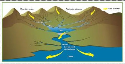 Catchment